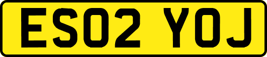 ES02YOJ