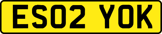 ES02YOK