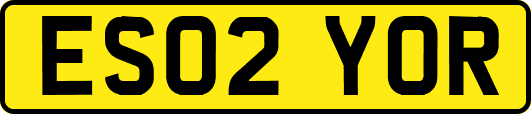 ES02YOR