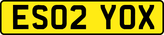 ES02YOX