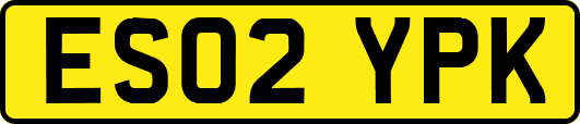 ES02YPK