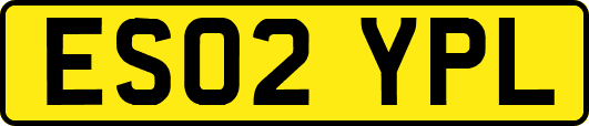 ES02YPL