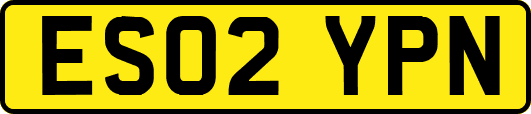 ES02YPN