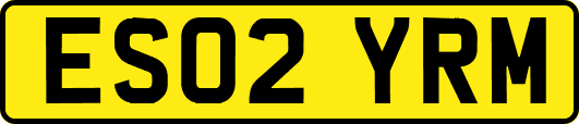 ES02YRM