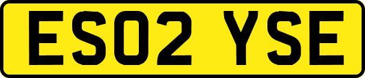 ES02YSE