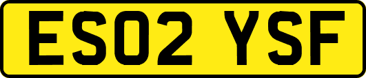 ES02YSF