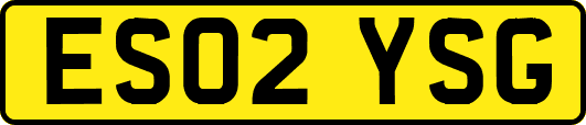 ES02YSG