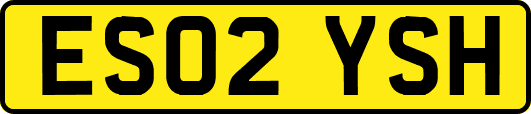 ES02YSH