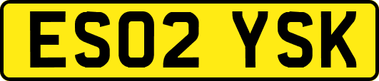 ES02YSK