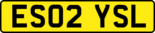 ES02YSL
