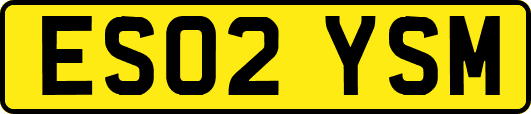 ES02YSM