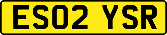 ES02YSR