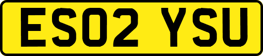 ES02YSU