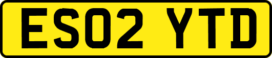 ES02YTD