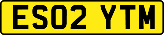 ES02YTM