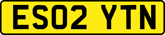 ES02YTN