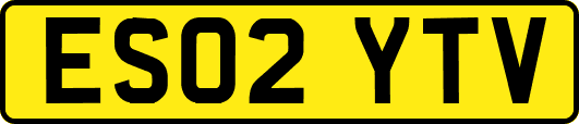 ES02YTV