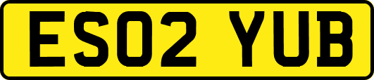 ES02YUB