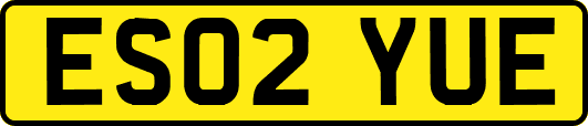 ES02YUE