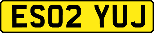 ES02YUJ