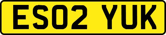 ES02YUK