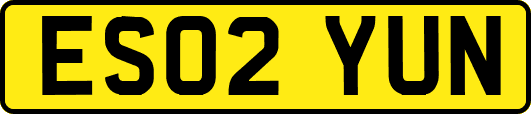 ES02YUN