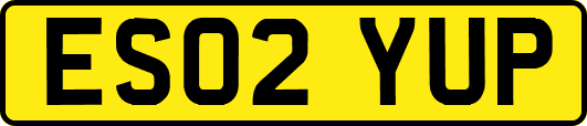 ES02YUP