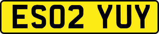 ES02YUY