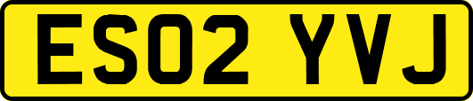 ES02YVJ