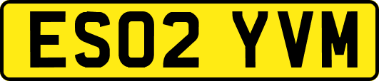 ES02YVM