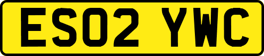 ES02YWC