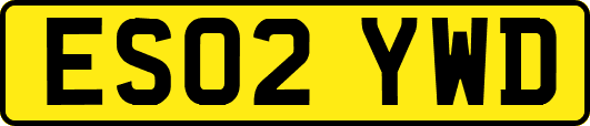 ES02YWD