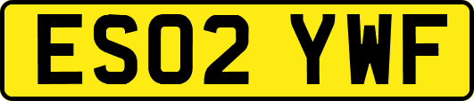 ES02YWF