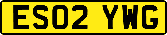 ES02YWG