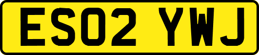 ES02YWJ