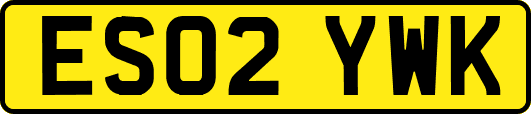 ES02YWK