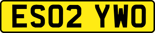 ES02YWO