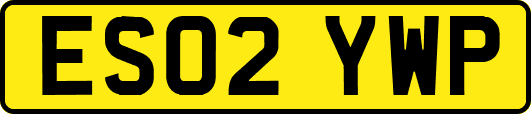 ES02YWP
