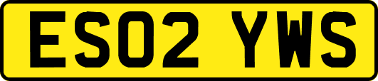 ES02YWS