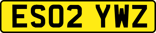 ES02YWZ