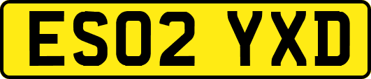ES02YXD