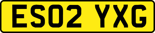 ES02YXG