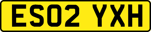 ES02YXH