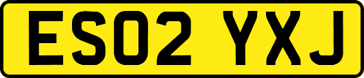ES02YXJ