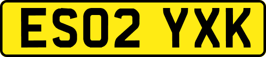ES02YXK