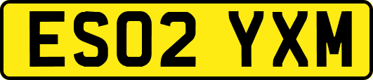 ES02YXM