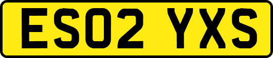 ES02YXS