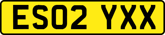 ES02YXX