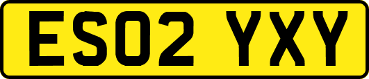 ES02YXY