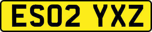 ES02YXZ